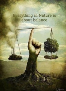 everything-in-nature-is-about-balance-quote-1 - image everything-in-nature-is-about-balance-quote-1-217x300 on https://thedreamcatch.com