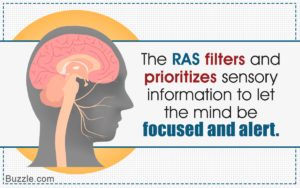 ras - image ras-300x188 on https://thedreamcatch.com