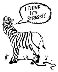 stress image - image stress-image1-240x300 on https://thedreamcatch.com