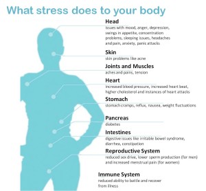 what_stress_does_to_the_body - image what_stress_does_to_the_body-300x278 on https://thedreamcatch.com