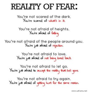 Fear quote - image Fear-quote-288x300 on https://thedreamcatch.com