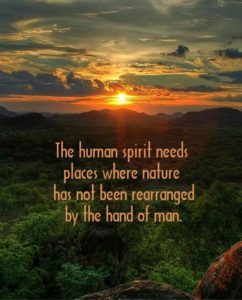 nature-quote