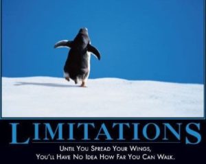 limitations image - image limitations-image-300x239 on https://thedreamcatch.com