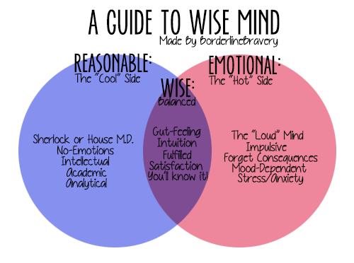 Wise Mind Reasonable Mind Emotional Mind Examples