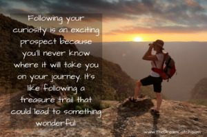 Curiosity Quote - image Curiosity-Quote-300x199 on https://thedreamcatch.com