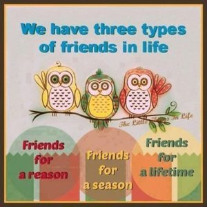 Three-Types-Of-Friends - image Three-Types-Of-Friends-300x300 on https://thedreamcatch.com