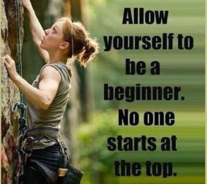 beginner quote - image beginner-quote-300x267 on https://thedreamcatch.com