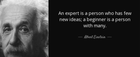 How to be a Good Beginner - image einstein-quote-e1502962444132 on https://thedreamcatch.com