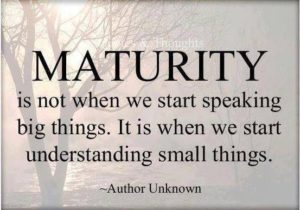 maturity quote - image maturity-quote-300x210 on https://thedreamcatch.com