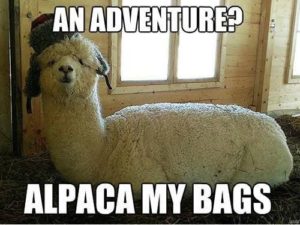 packbag funny - image packbag-funny-300x225 on https://thedreamcatch.com