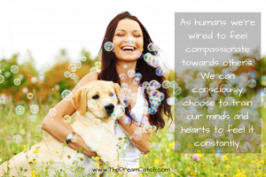 Compassion quote - image Compassion-quote-300x200 on https://thedreamcatch.com