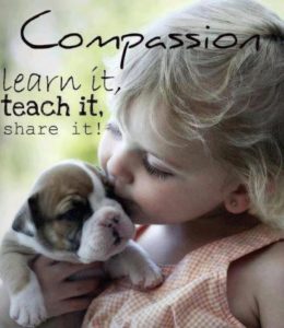 How to Cultivate Compassion for Yourself and Others - image compassion-dog-260x300 on https://thedreamcatch.com
