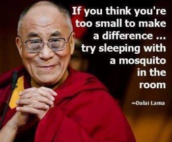 How You Can Make a Meaningful Impact on the World - image dalai-lama-quote-e1516866273418 on https://thedreamcatch.com