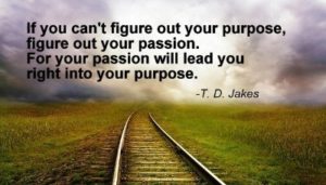 purpose quote - image purpose-quote-300x171 on https://thedreamcatch.com