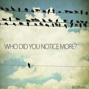 bird role model - image bird-role-model-300x300 on https://thedreamcatch.com