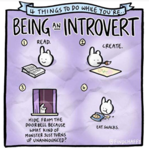 introvert funny - image introvert-funny-300x298 on https://thedreamcatch.com