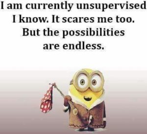 minion possibilities - image minion-possibilities-300x274 on https://thedreamcatch.com