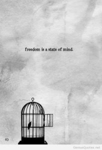 freedom bird - image freedom-bird-204x300 on https://thedreamcatch.com