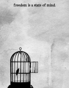 freedom birds - image freedom-birds-237x300 on https://thedreamcatch.com