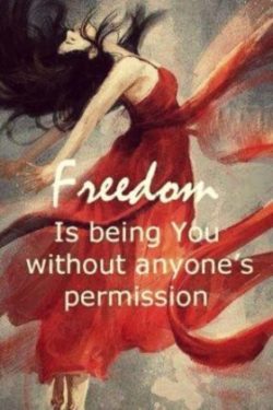 Why Freedom is Everyone’s Birthright - image freedom-you-quote-e1545898420993 on https://thedreamcatch.com