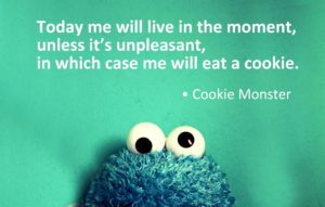 cookie monster present - image cookie-monster-present-300x191 on https://thedreamcatch.com