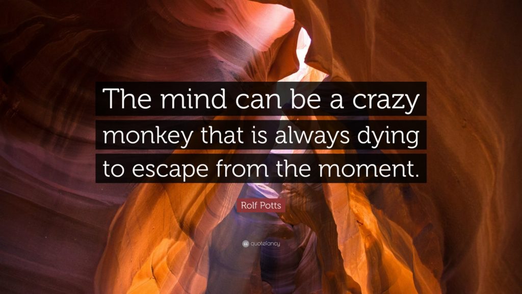 How to Become More Present in Your Life - image monkey-mind-quote-1-1024x576 on https://thedreamcatch.com