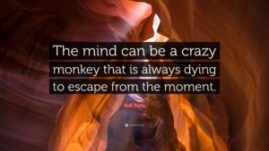 monkey mind quote - image monkey-mind-quote-1-300x169 on https://thedreamcatch.com