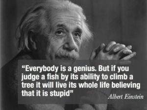 Einstein quote - image Einstein-quote-300x225 on https://thedreamcatch.com