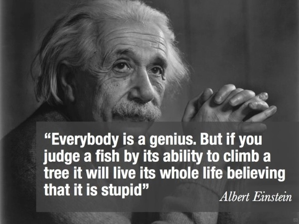 The 9 Types of Intelligence and How to Use Them - image Einstein-quote on https://thedreamcatch.com