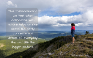 Transcend quote - image Transcend-quote-300x188 on https://thedreamcatch.com