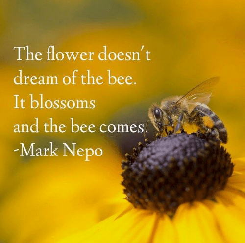 Why The Natural World Humbles Us - image bee-quote on https://thedreamcatch.com