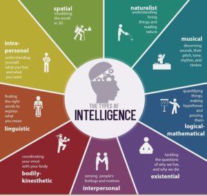 types of intelligence © Wikimedia Commons BetsyOconnor - image types-of-intelligence-©-Wikimedia-Commons-BetsyOconnor-300x284 on https://thedreamcatch.com