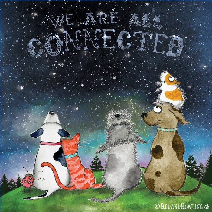 Why We Are All Connected - image connetedness2 on https://thedreamcatch.com