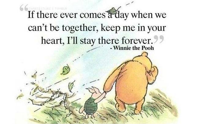 The Importance of Having Emotional Connections - image winnie-the-pooh-quote on https://thedreamcatch.com