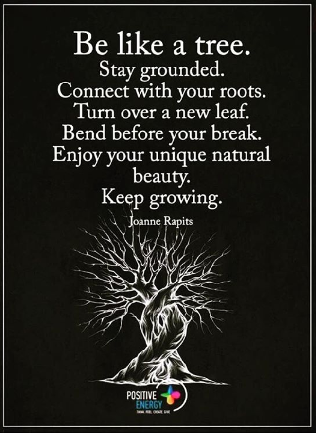 5 Signs That You Need Spiritual Grounding - image Tree-quote on https://thedreamcatch.com