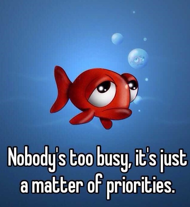 4 Signs That Your Priorities Are Wrong - image fishpriorities on https://thedreamcatch.com