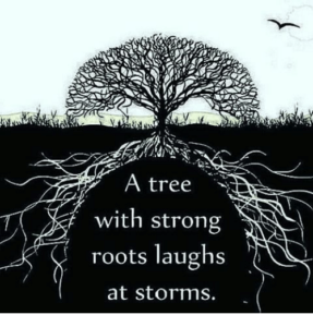 rootsquote - image rootsquote-287x300 on https://thedreamcatch.com