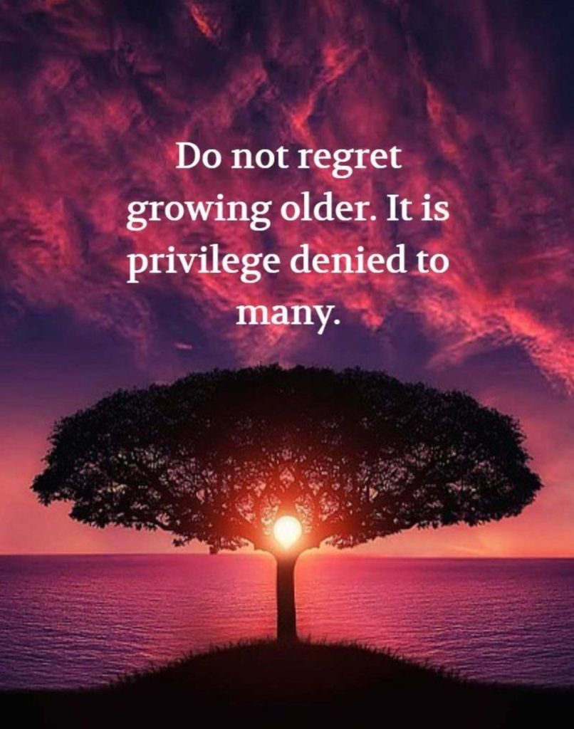 The Four Aspects of Aging - image olderprivelegequote-806x1024 on https://thedreamcatch.com