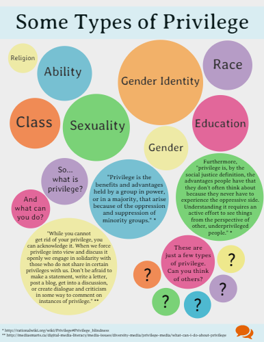 check your privilege chart