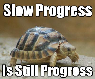 How to Evaluate Progress to Stay Motivated - image progressturtle on https://thedreamcatch.com