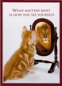confidence-funny - image confidence-funny-216x300 on https://thedreamcatch.com