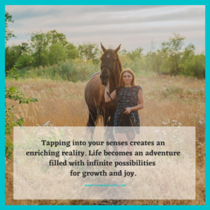 quote-image-1 - image quote-image-1-300x300 on https://thedreamcatch.com