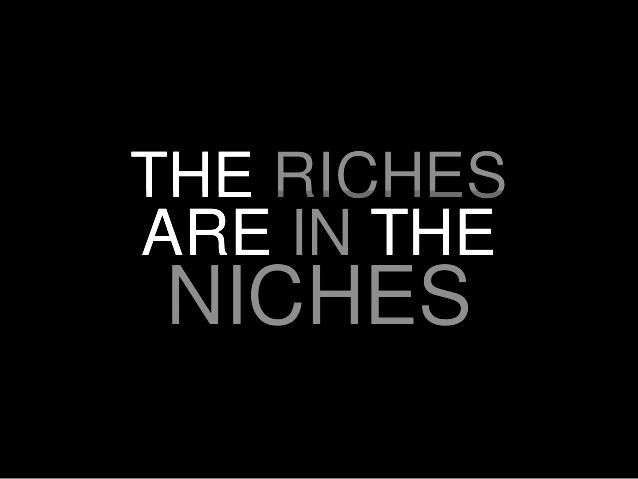 How to Find a Niche You Thrive in - image nichequote on https://thedreamcatch.com
