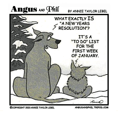 Why You Don’t Stick to Your New Year’s Resolutions - image nye-comic on https://thedreamcatch.com