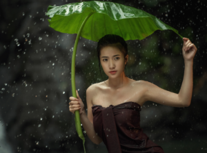 mainimage - image mainimage-300x222 on https://thedreamcatch.com
