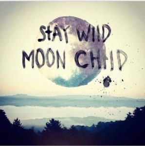 staywild - image staywild-298x300 on https://thedreamcatch.com