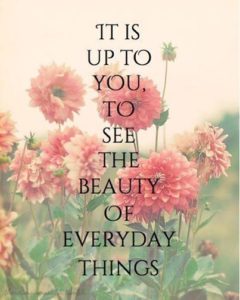beautyquote - image beautyquote-240x300 on https://thedreamcatch.com