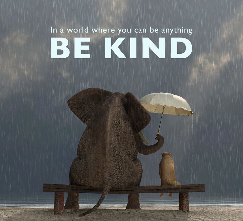 Why More Kindness is Needed in the World - image bekind on https://thedreamcatch.com