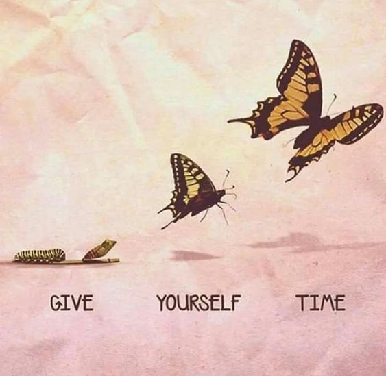 How to Trust in the Timing of Your Life - image inspirational-butterfl on https://thedreamcatch.com