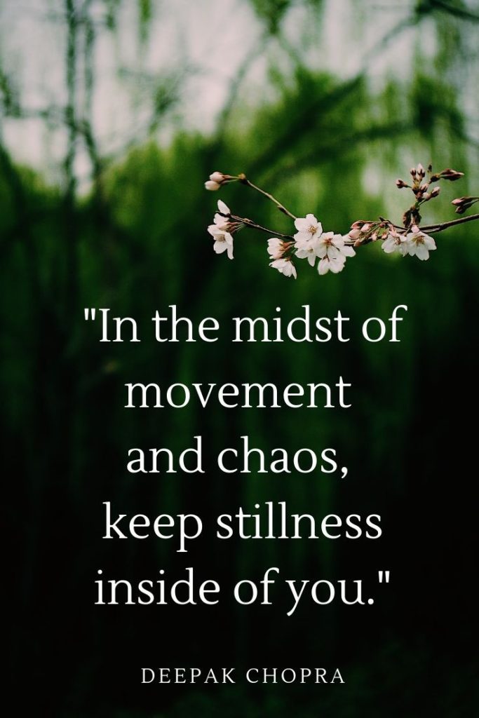 The Secret to a Healthy and Balanced Mind - image dcquote-683x1024 on https://thedreamcatch.com